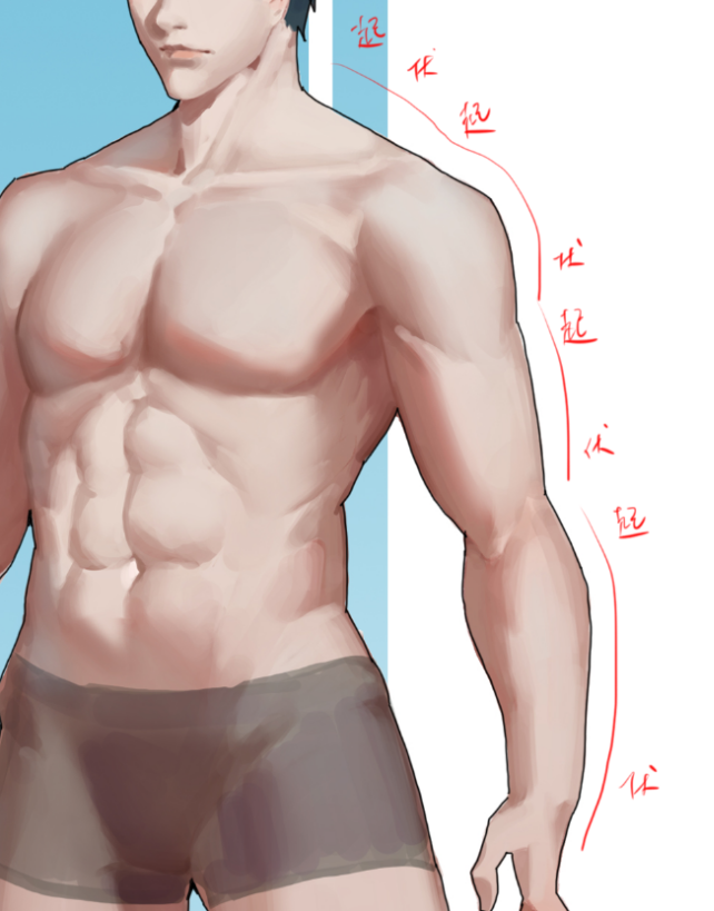 如何绘画人体肌肉线条-名动漫